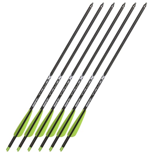 Arrows for Bear Cruzer G2